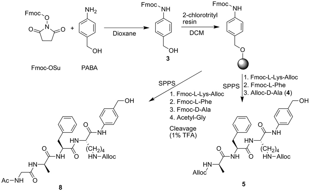 Scheme 3