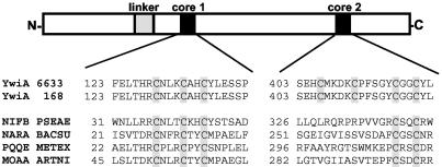 FIG. 4.