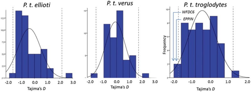 Fig. 4.—