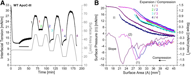 Fig. 5.