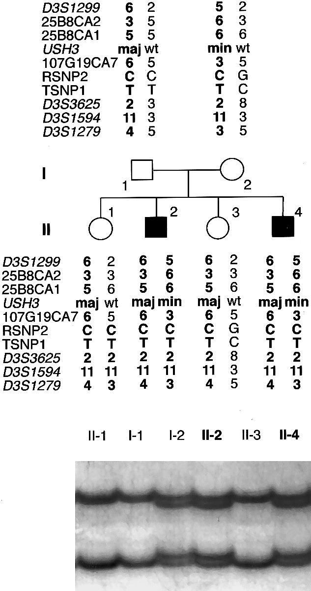 Figure  2