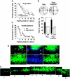 Figure 2-