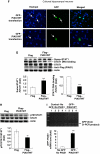 Figure 2-