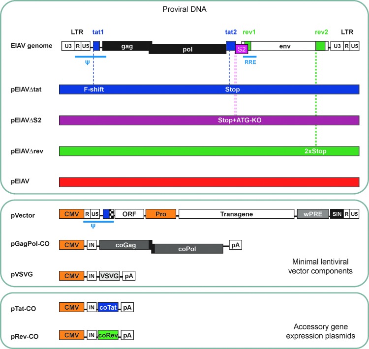 FIG. 3.