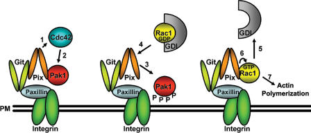 Figure 7.