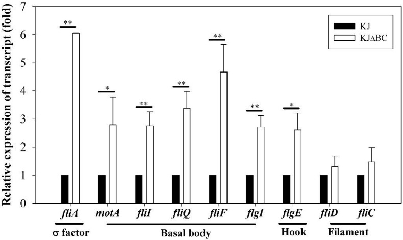 Fig 5