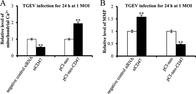 Fig. 10.