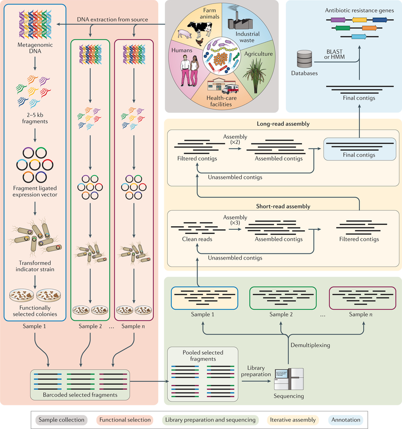 Fig. 3 |