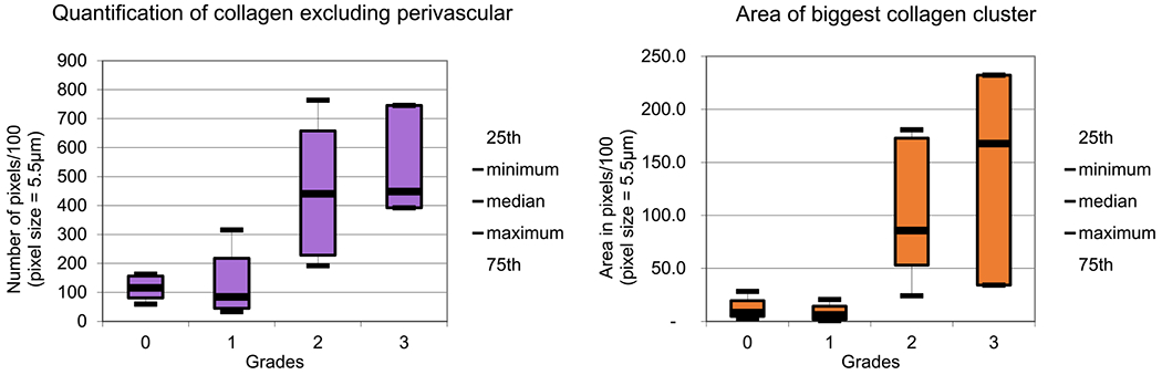 Figure 12.