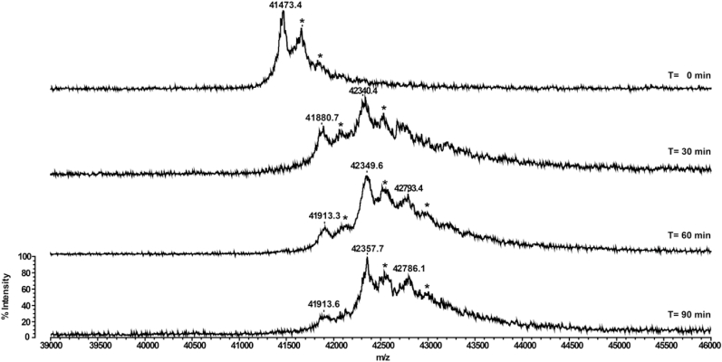 Fig. 6