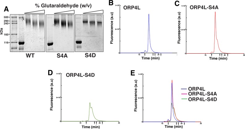 Fig 4