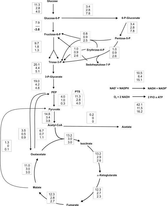 Fig. 2