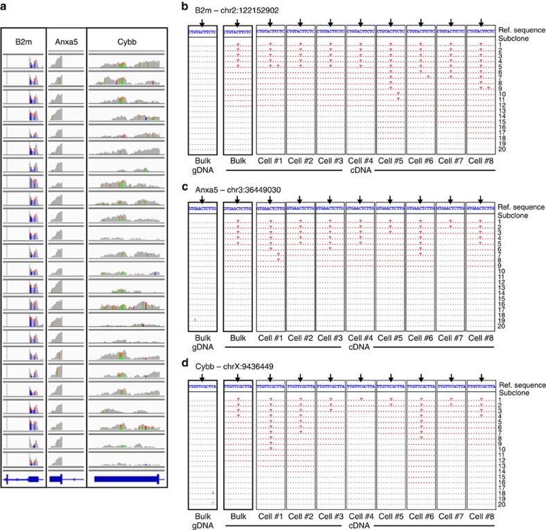 Figure 6