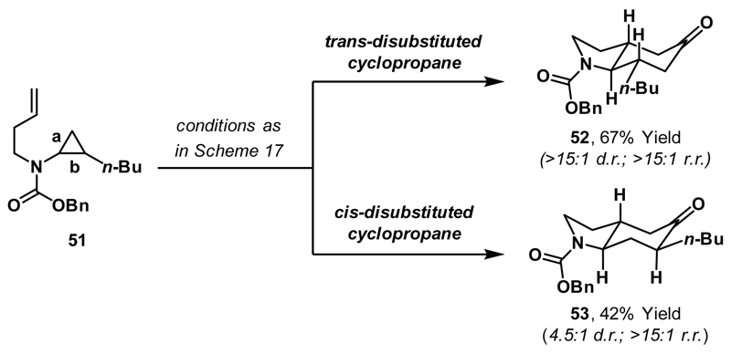 Scheme 19