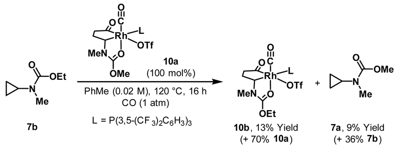 Scheme 18