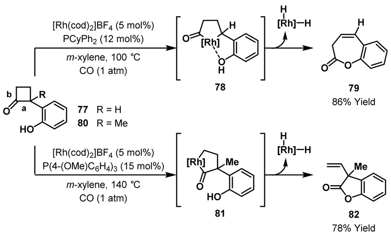 Scheme 25