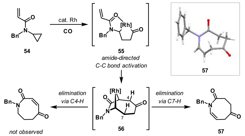 Scheme 20