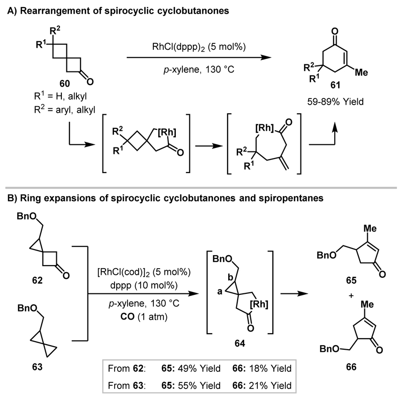 Scheme 23