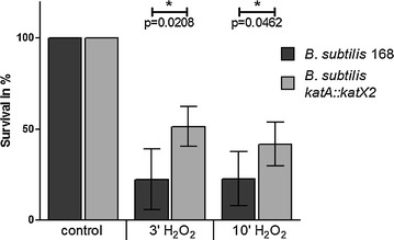 Fig. 2