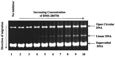 FIG. 3