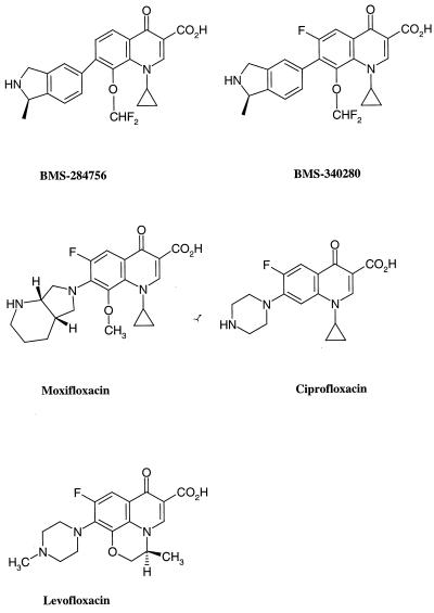FIG. 1