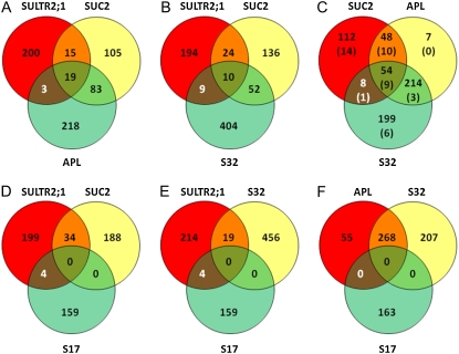 Figure 4.