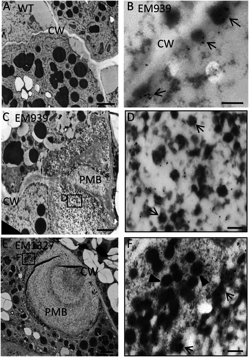 Figure 6.