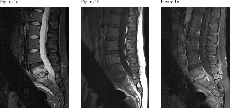 Figure 1: