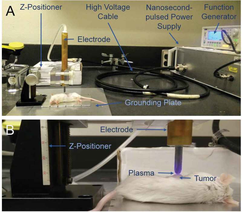 Figure 3.