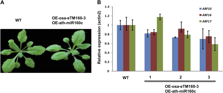 Figure 5.