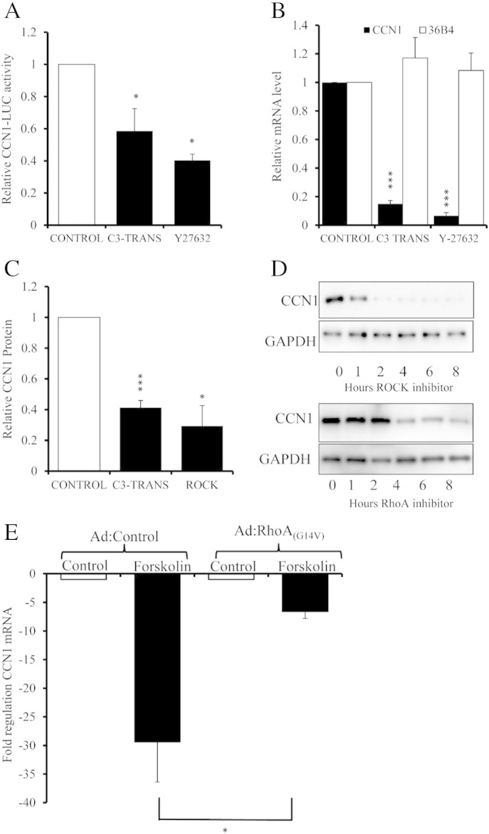 Fig. 6