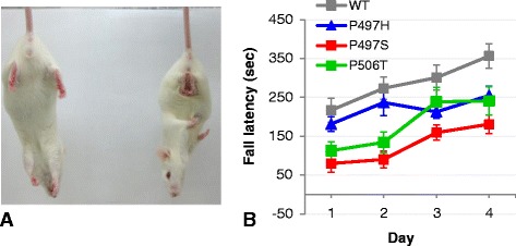 Fig. 8