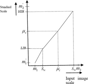 Fig. 1