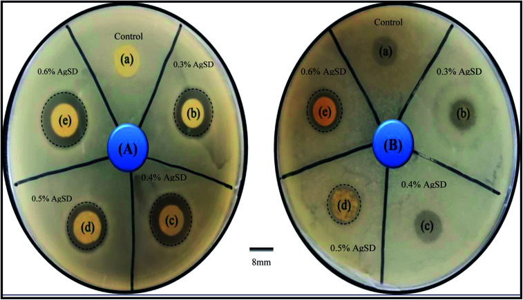 Fig. 9