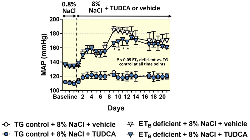 Figure 11.