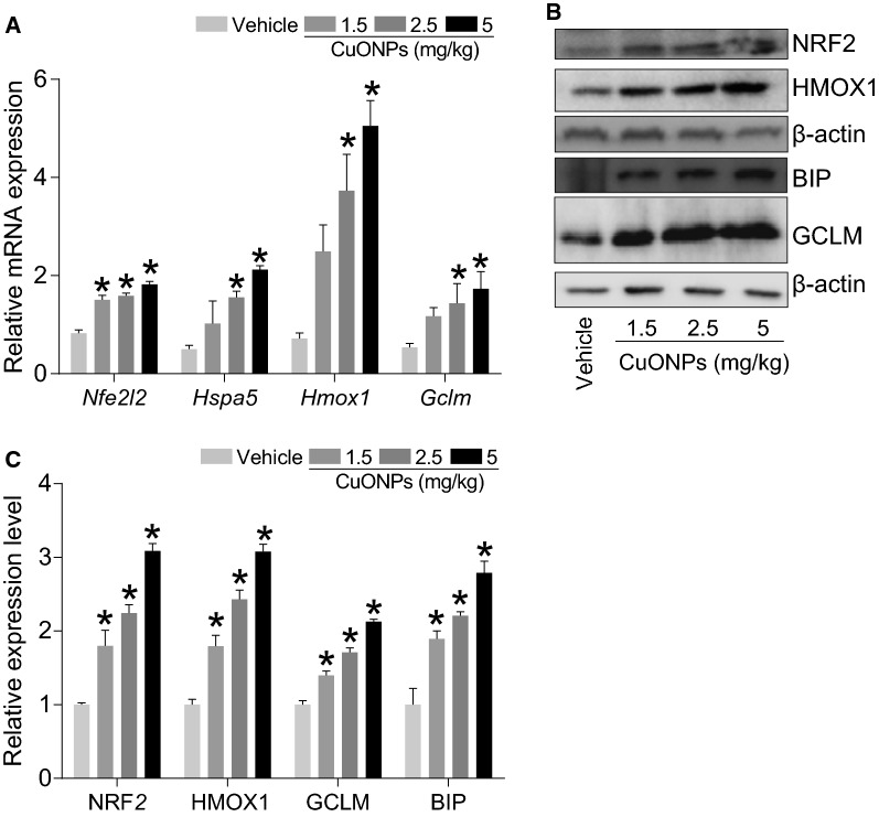 Fig. 4