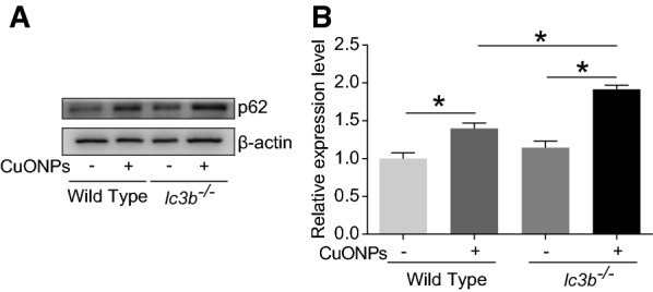 Fig. 12