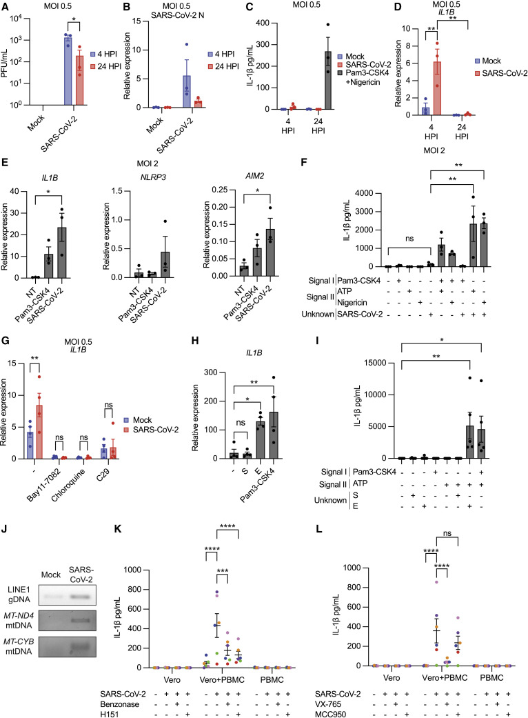 Figure 2