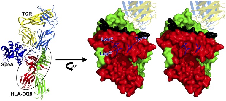 Fig. S1.