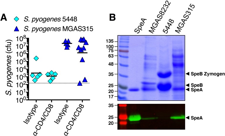 Fig. S4.