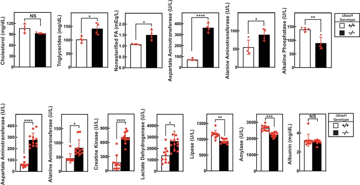 Figure 4—figure supplement 1.