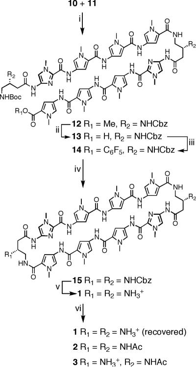 Scheme 2