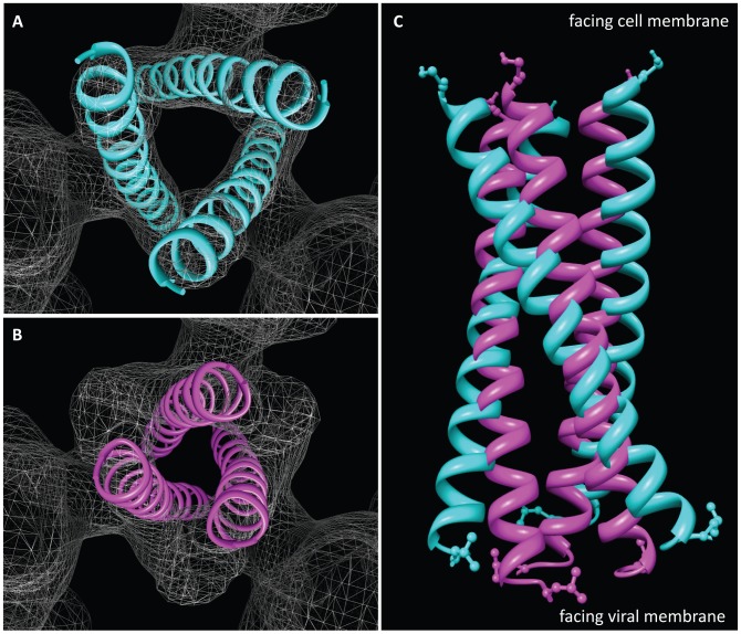 Figure 11