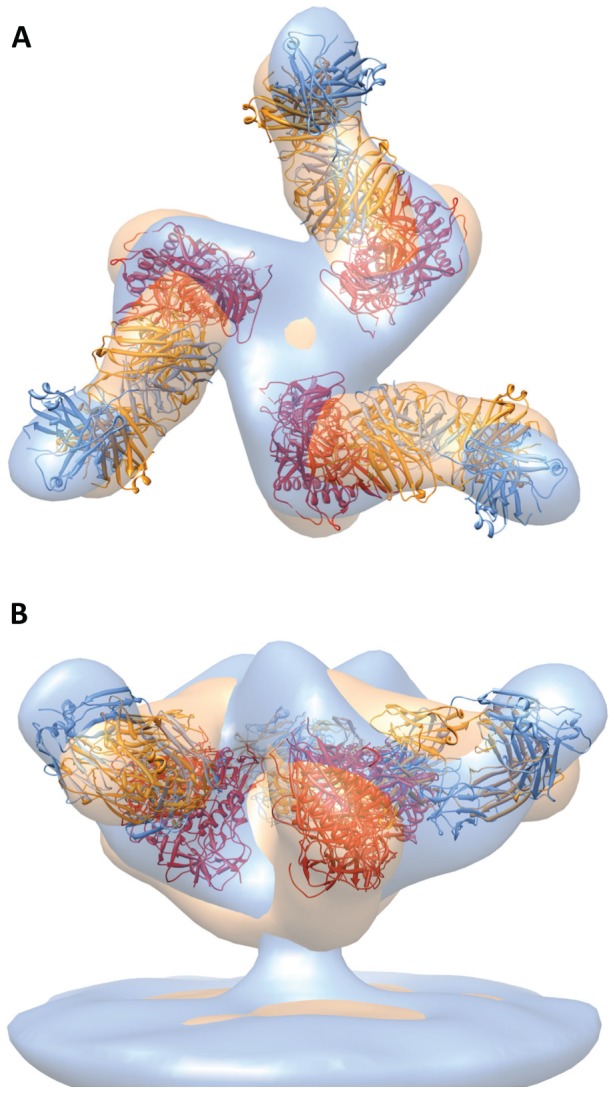 Figure 5