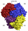 Fig. 4