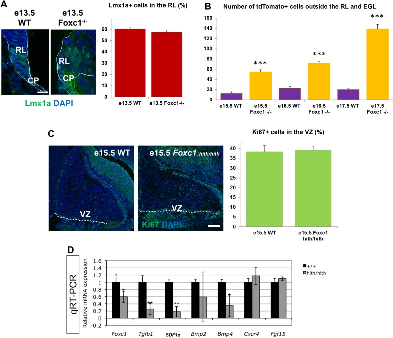 Figure 2—figure supplement 1.