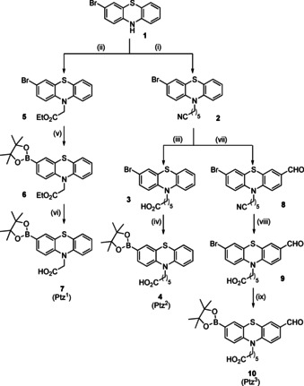 Scheme 2