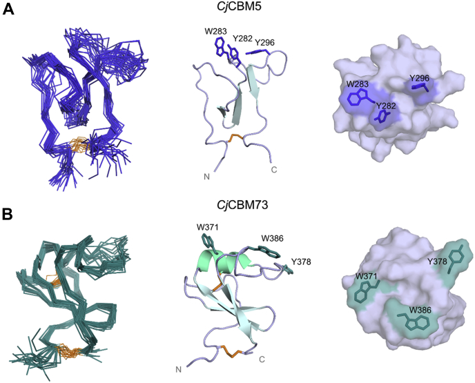 Figure 4