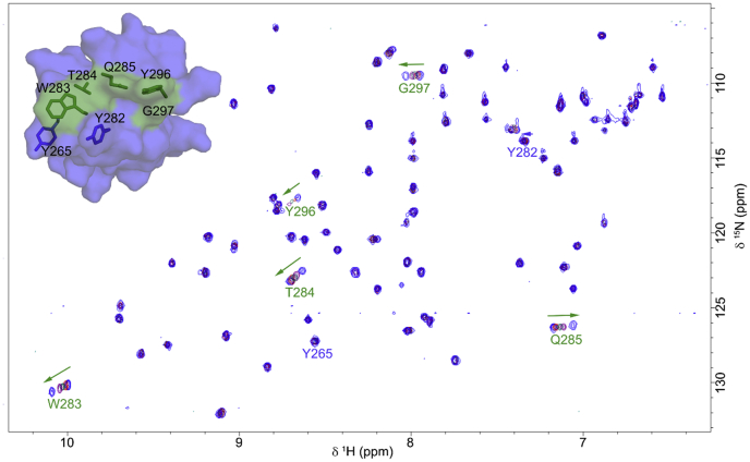 Figure 5