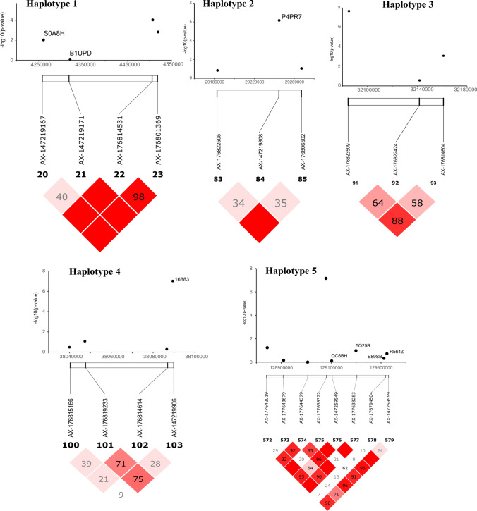 Fig. 7